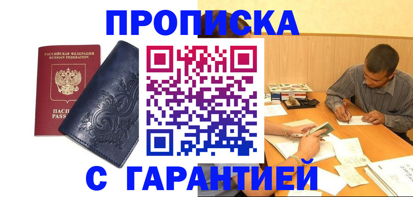 прописка поиск в Сольцах